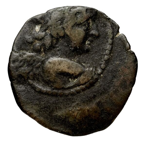 аверс Seleucid Coins (part 2) 2067.5c