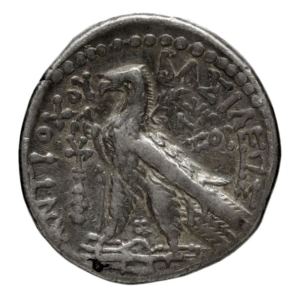 Seleucid Coins (part 2) 2110.5a, реверс, bnf-hrc