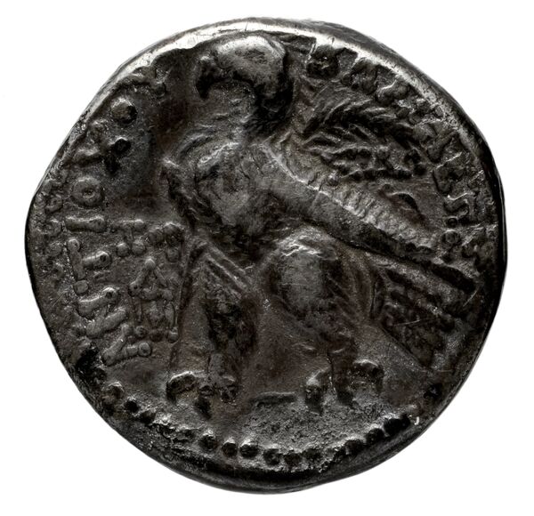 реверс Seleucid Coins (part 2) 2103.3b