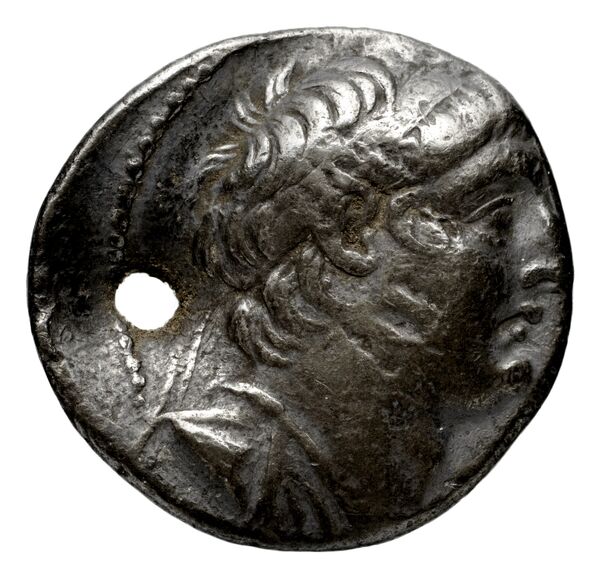 аверс Seleucid Coins (part 2) 2109.6a
