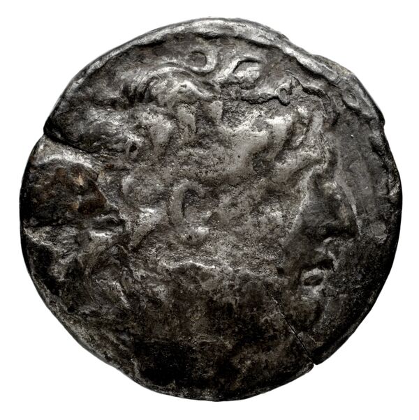 аверс Seleucid Coins (part 2) 2061.4d