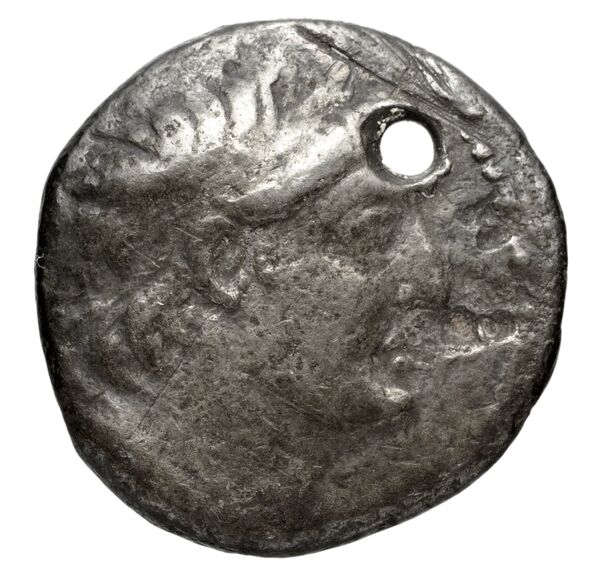 аверс Seleucid Coins (part 2) 2110.8a