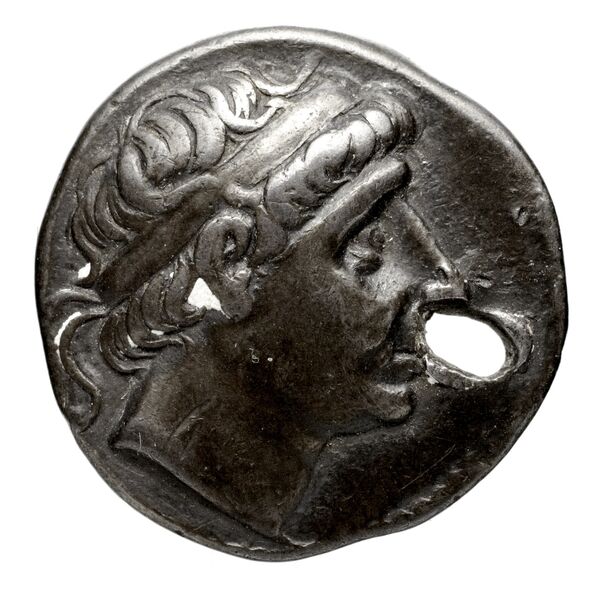 аверс Seleucid Coins (part 1) 380.3
