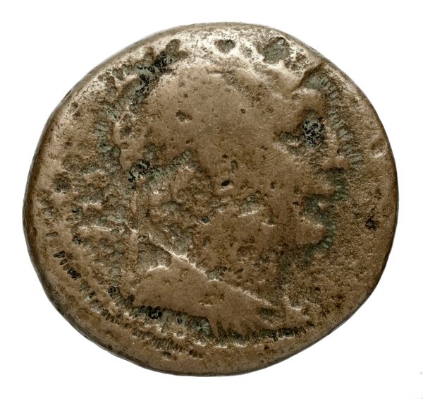 аверс Seleucid Coins (part 2) 2105.1