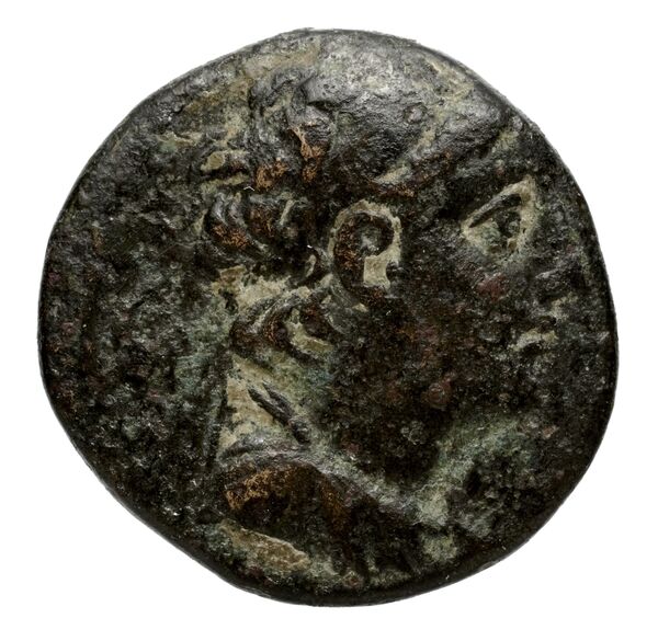 аверс Seleucid Coins (part 2) 2105.2b