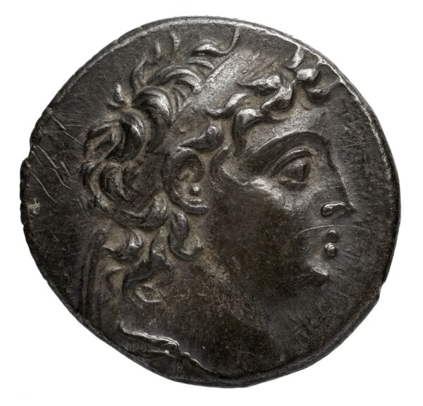 аверс Seleucid Coins (part 2) 2195.1b