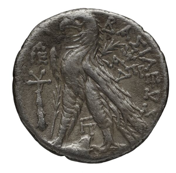 реверс Seleucid Coins (part 2) 2195.2b