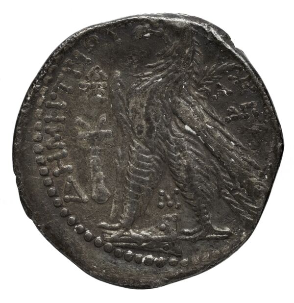 реверс Seleucid Coins (part 2) 2195.2c