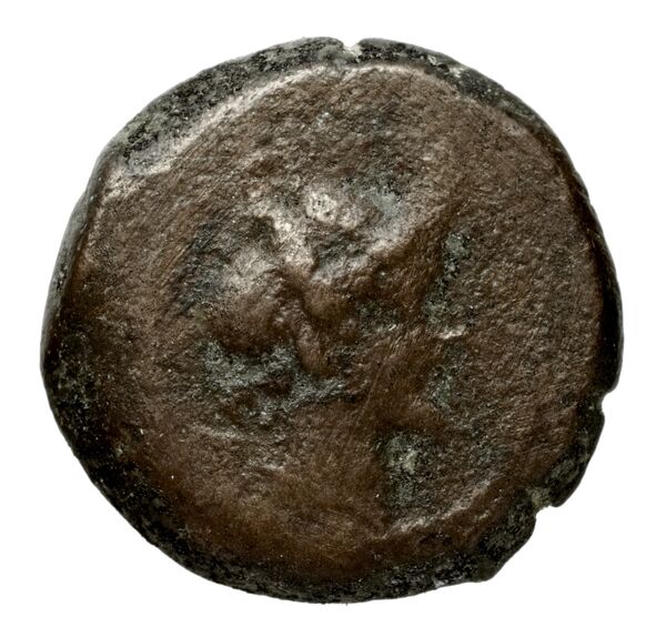 аверс Seleucid Coins (part 2) 2184a