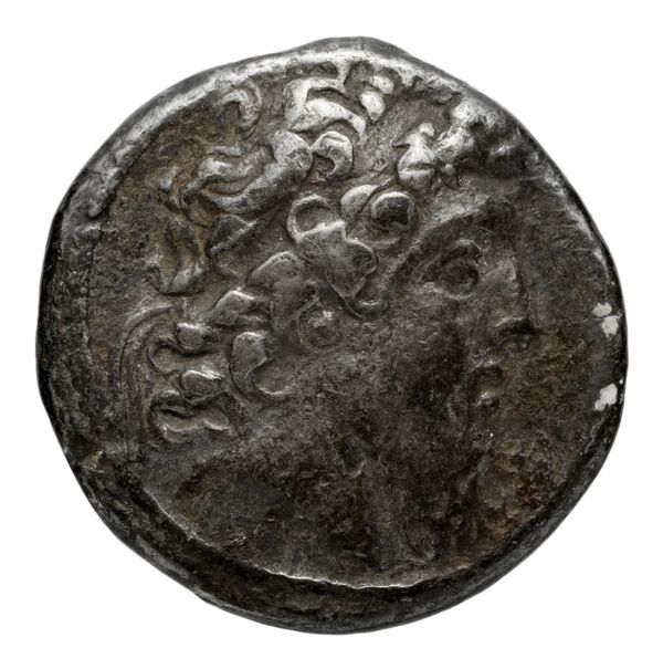 аверс Seleucid Coins (part 2) 2205.1