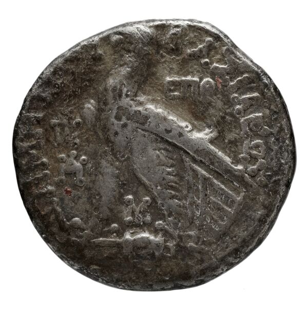 реверс Seleucid Coins (part 2) 2205.1
