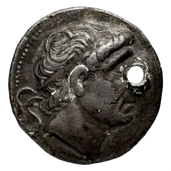 аверс Seleucid Coins (part 1) 587.2