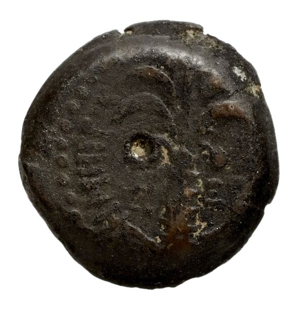 реверс Seleucid Coins (part 2) 1970.1