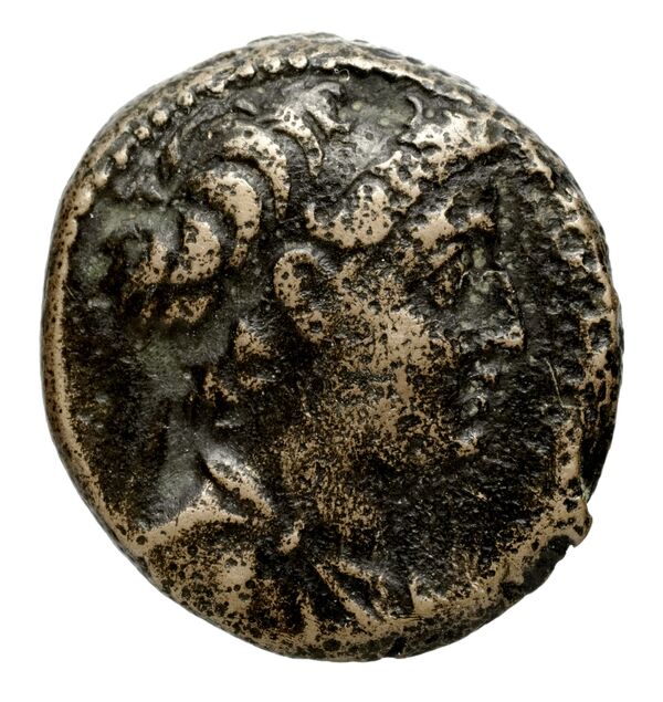 аверс Seleucid Coins (part 2) 2189.1