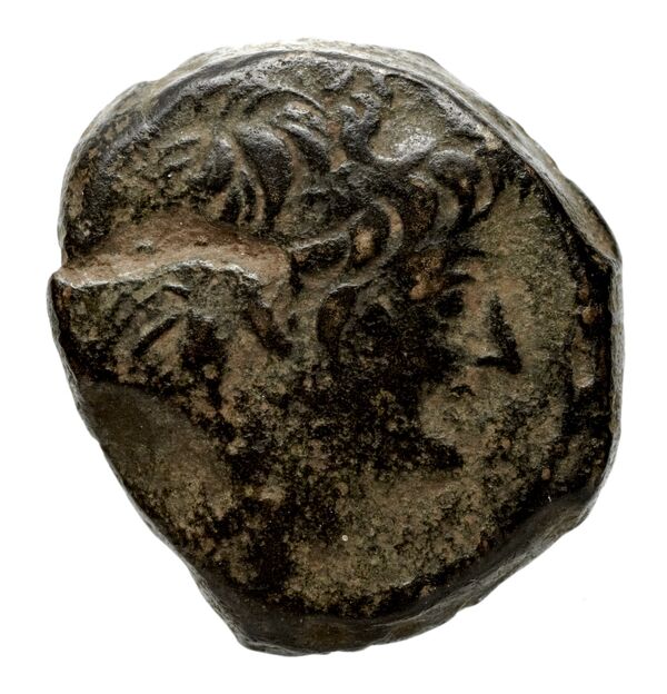 аверс Seleucid Coins (part 2) 2229.4