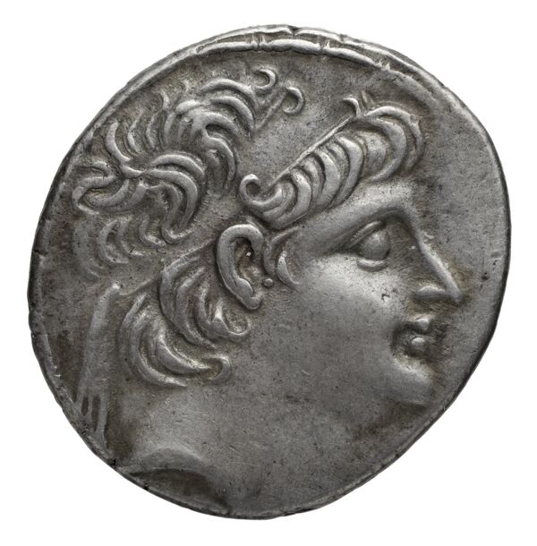 аверс Seleucid Coins (part 2) 2248.6a