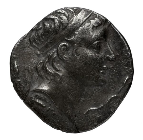 аверс Seleucid Coins (part 2) 2212