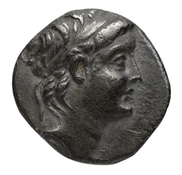 аверс Seleucid Coins (part 2) 2212.2