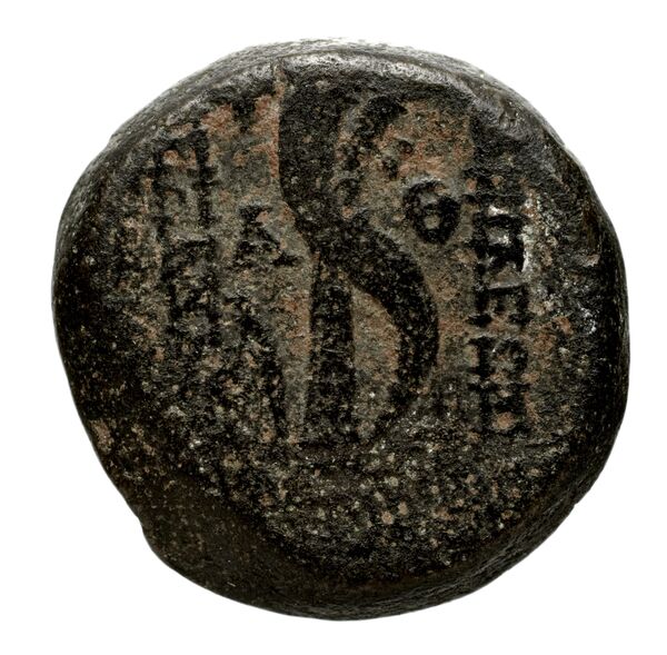 реверс Seleucid Coins (part 2) 2237.2c