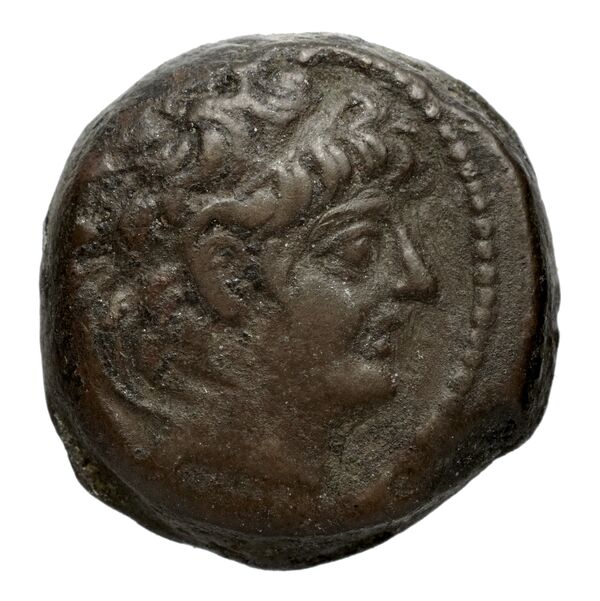 аверс Seleucid Coins (part 2) 2235.1f