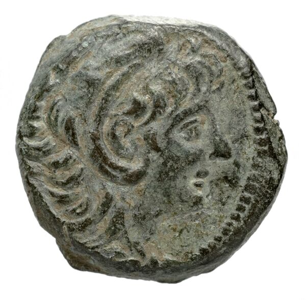 Seleucid Coins (part 2) 2231.1b, аверс, BnF (HRC)