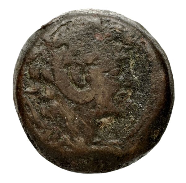 Seleucid Coins (part 2) 2231.1b, аверс, BnF (HRC)