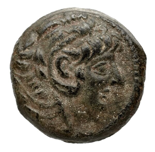 аверс Seleucid Coins (part 2) 2231.1f