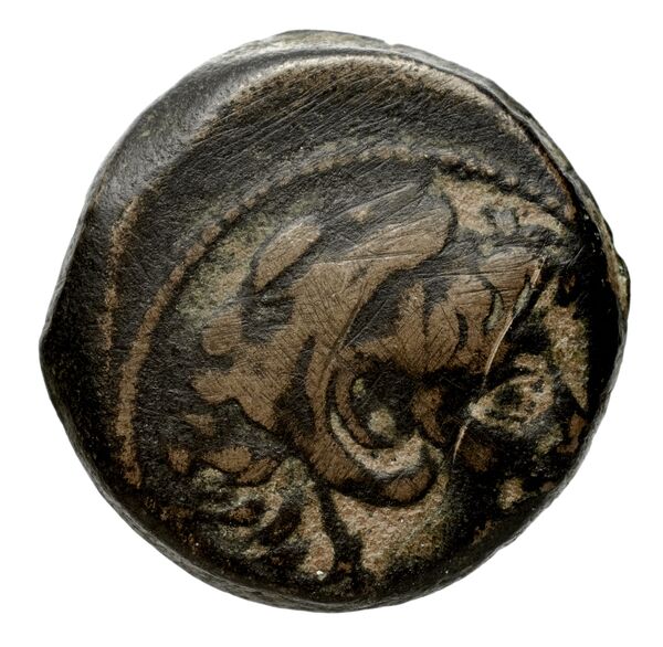 Seleucid Coins (part 2) 2231.1g, аверс, BnF (HRC)
