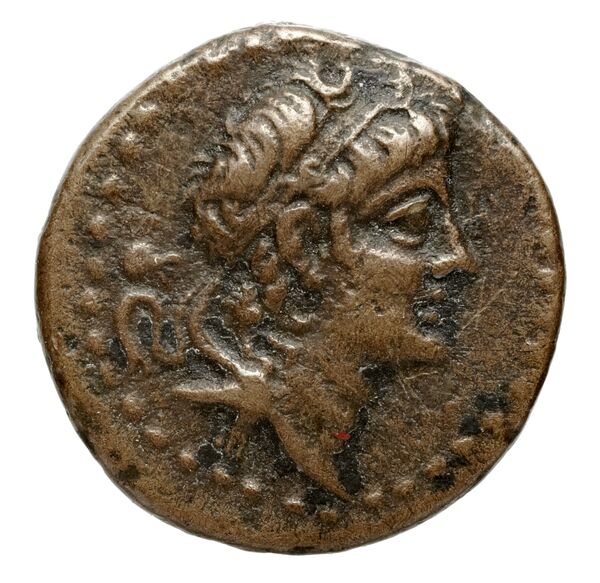 аверс Seleucid Coins (part 2) 2251