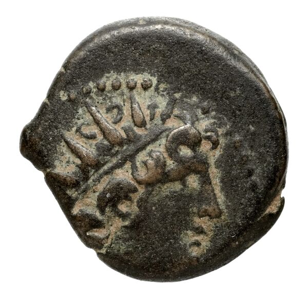 аверс Seleucid Coins (part 2) 2274.3