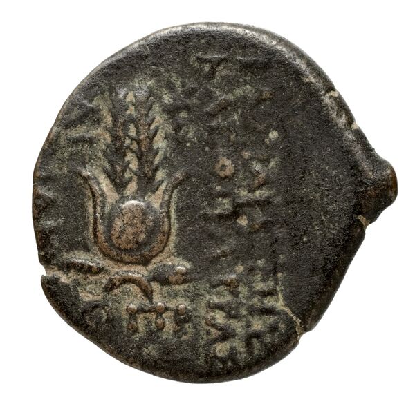 реверс Seleucid Coins (part 2) 2274.3