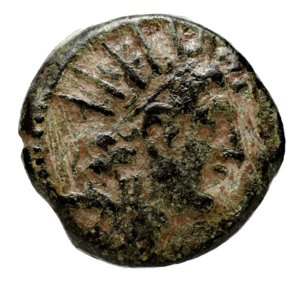 аверс Seleucid Coins (part 2) 2263.3c