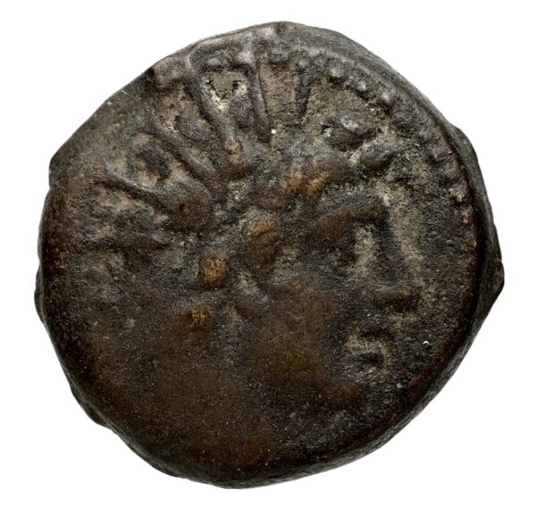 аверс Seleucid Coins (part 2) 2263.3a