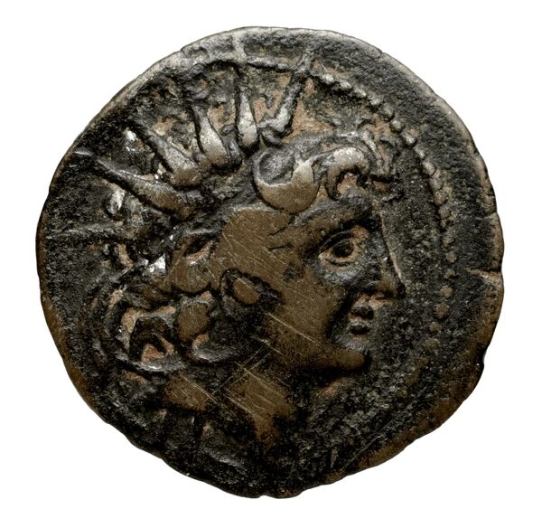 Seleucid Coins (part 2) 2263, аверс, bnf-hrc