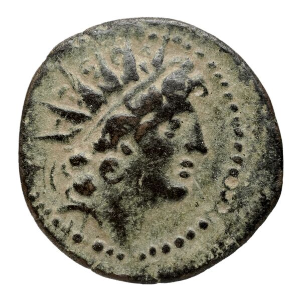 аверс Seleucid Coins (part 2) 2263.4c