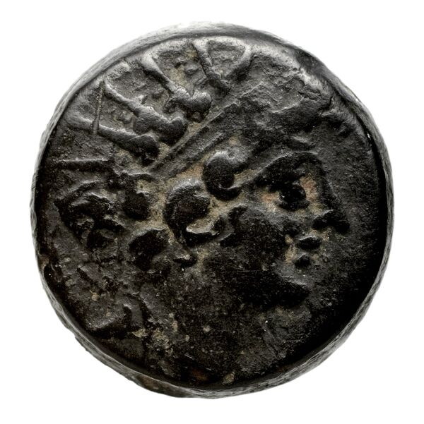 аверс Seleucid Coins (part 2) 2300.1d