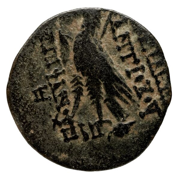 реверс Seleucid Coins (part 2) 2300.1g