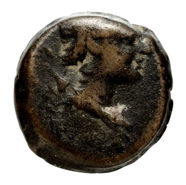 obverse Seleucid Coins (part 2) 2301.1b