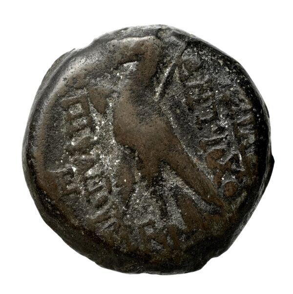 реверс Seleucid Coins (part 2) 2300.2