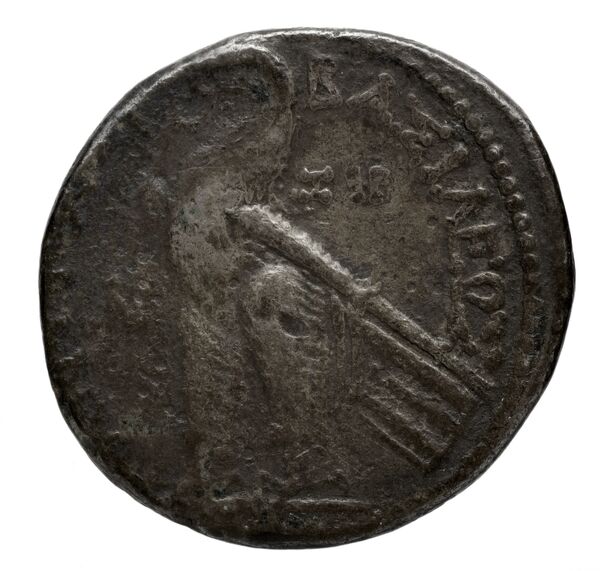 реверс Seleucid Coins (part 2) 2337.5