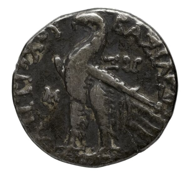 реверс Seleucid Coins (part 2) 2338.2