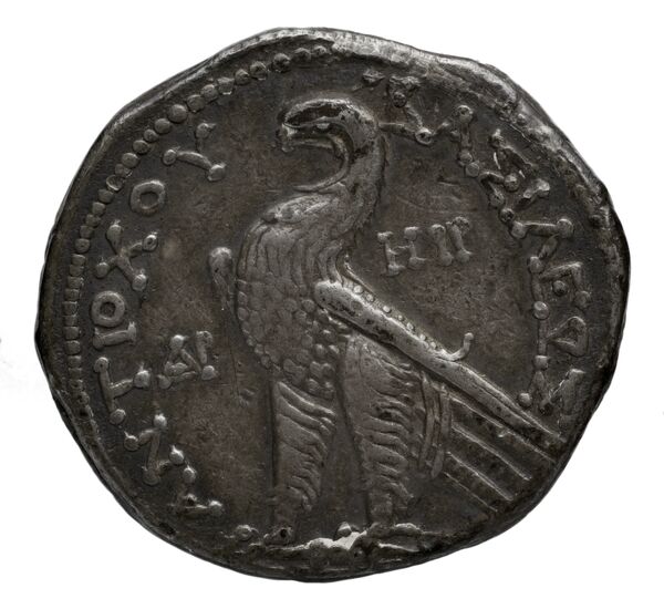 реверс Seleucid Coins (part 2) 2337.6