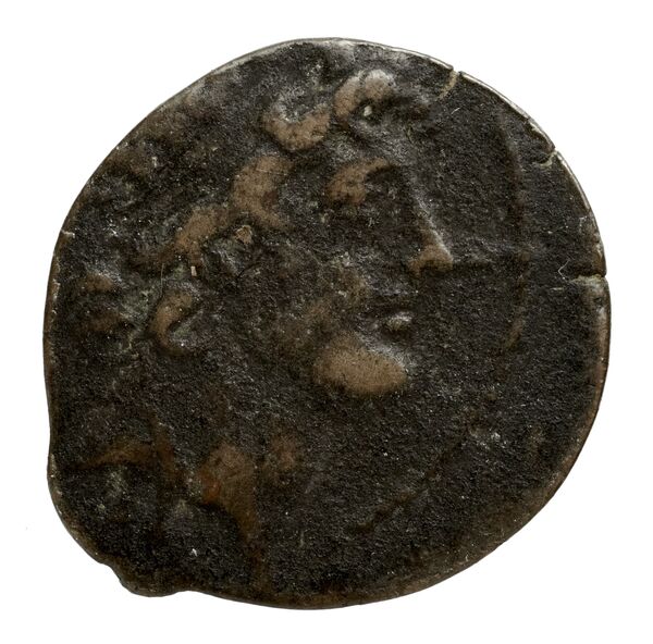 аверс Seleucid Coins (part 2) 2300.7