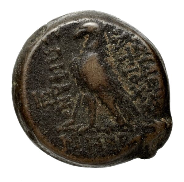 реверс Seleucid Coins (part 2) 2300.7