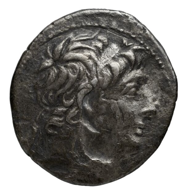 аверс Seleucid Coins (part 2) 2337