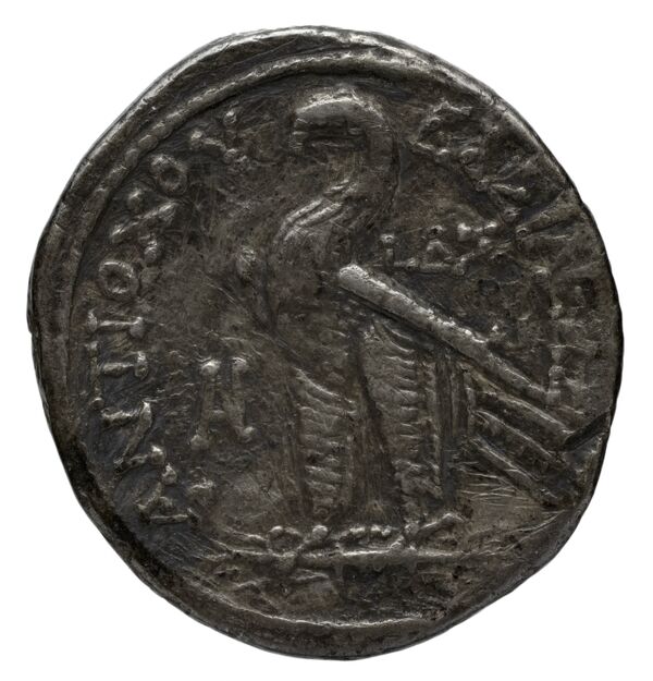 реверс Seleucid Coins (part 2) 2337