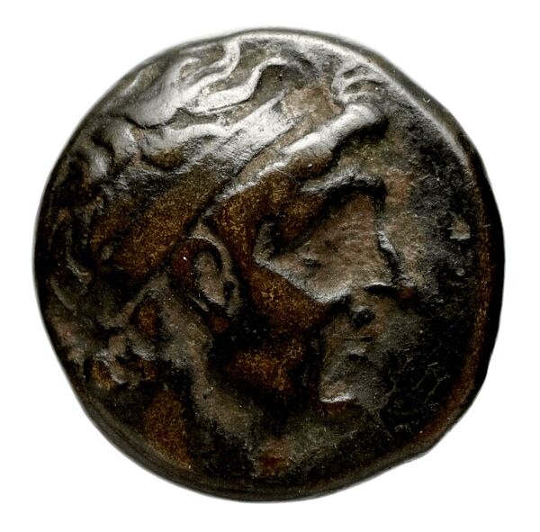 аверс Seleucid Coins (part 1) 351.1b