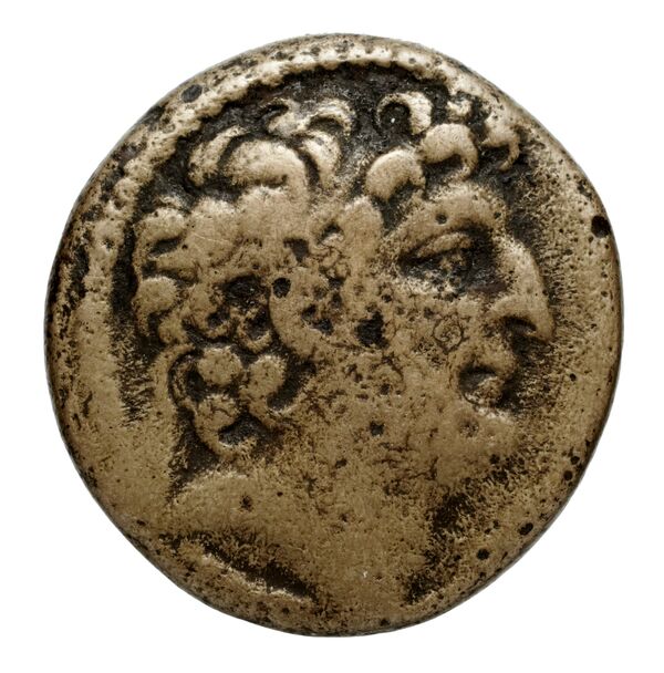 Seleucid Coins (part 2) 2313.1a, аверс, bnf-hrc