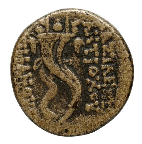 Seleucid Coins (part 2) 2313.1a, реверс, bnf-hrc
