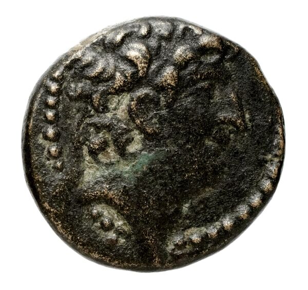 аверс Seleucid Coins (part 2) 2316